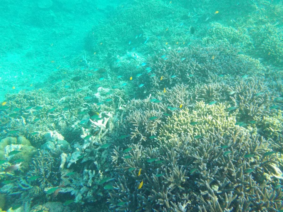 II Bungalow Gili Meno Zewnętrze zdjęcie
